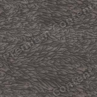 Photo High Resolution Seamless Wallpaper Texture 0001